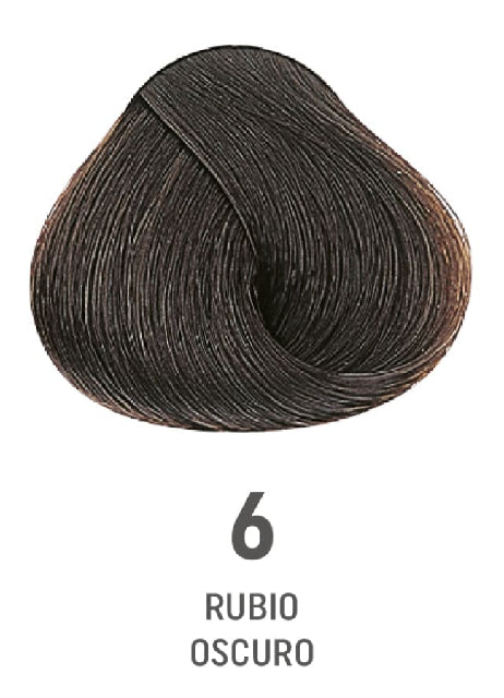 COLOR AMORE 6