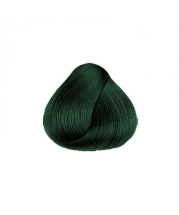 (NO SRT)COLORTECH RBL VERDE ENVIDIA SEMIPERMANENTE 90G