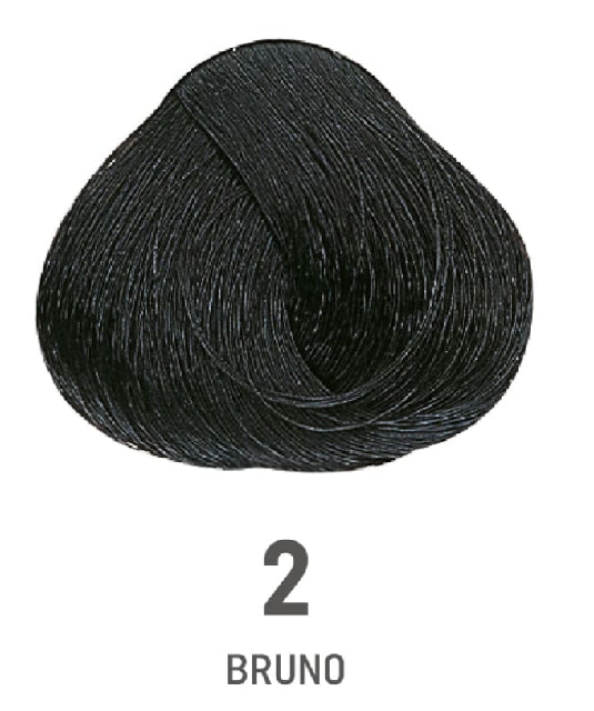 COLOR AMORE 2