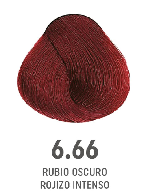 COLOR AMORE 6.66