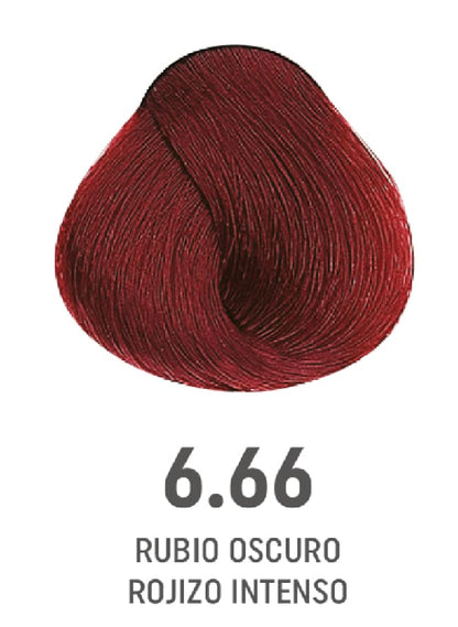 COLOR AMORE 6.66