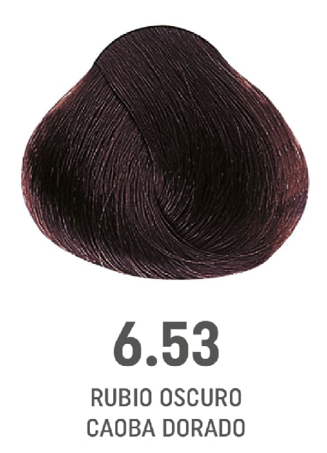 (NO SRT)COLOR AMORE 6.53