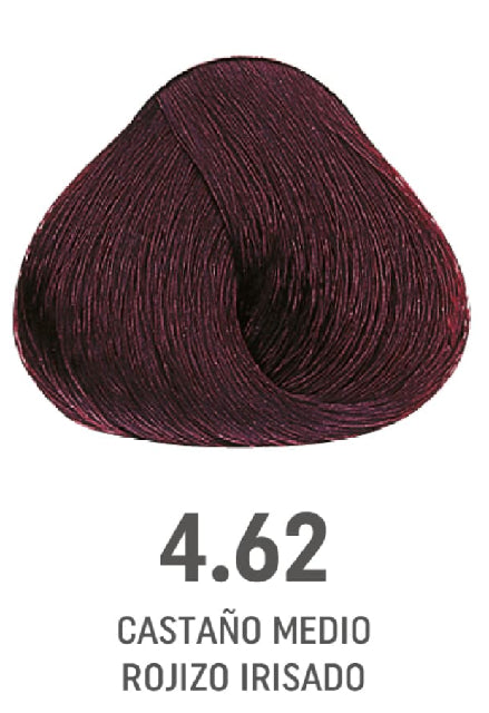 COLOR AMORE 4.62