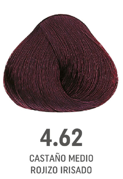 COLOR AMORE 4.62