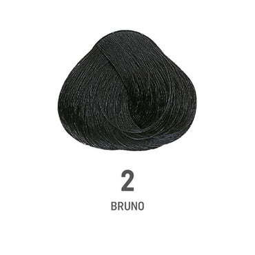 COLOR AMORE 2