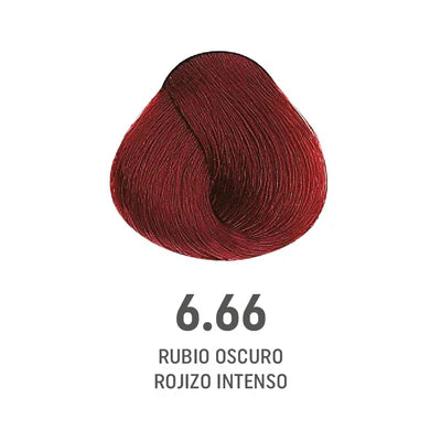 COLOR AMORE 6.66