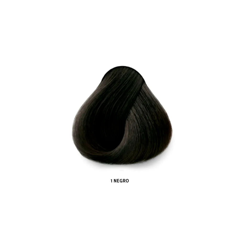COLOR AMORE 1