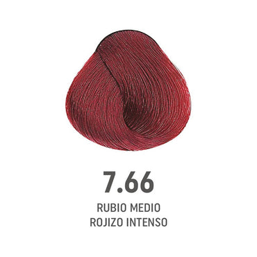 COLOR AMORE 7.66